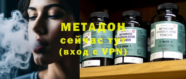 прущие грибы Аркадак