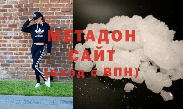 прущие грибы Аркадак