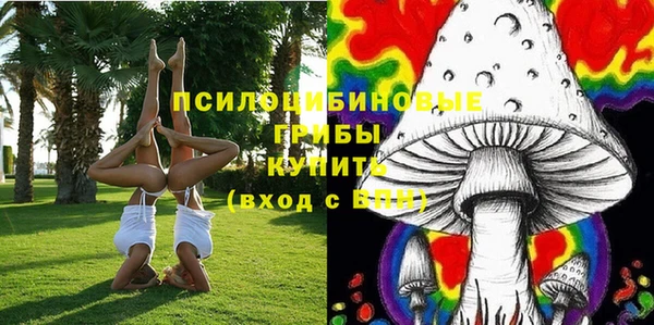 круглые Арсеньев