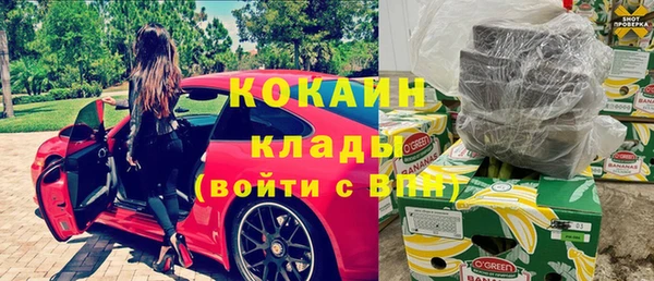 прущие грибы Аркадак