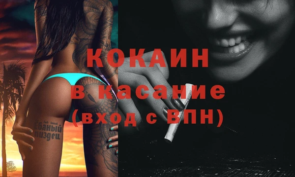 прущие грибы Аркадак